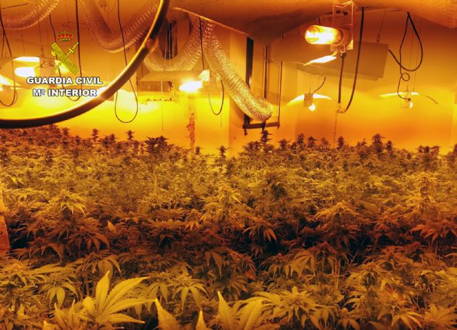 La Guardia Civil desmantela dos viviendas dedicadas al cultivo de plantas de marihuana en Cieza