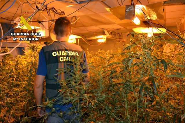 La Guardia Civil desmantela un grupo delictivo que cultivaba marihuana en Cieza