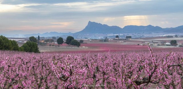 El Ayuntamiento de Cieza ya es miembro de la Red de Destinos Turísticos Inteligentes