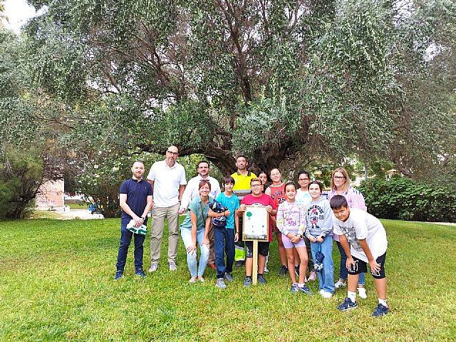 Los árboles de Cieza, en la campaña EUTreetag. Hacer visible el valor de los árboles